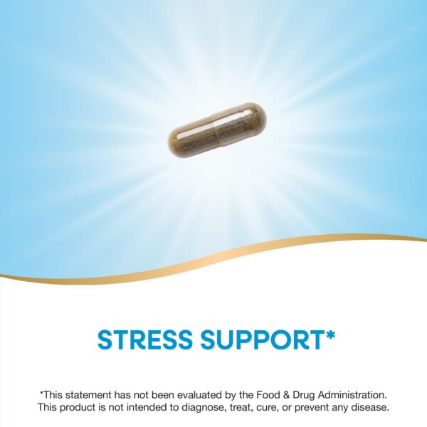 Cápsulas veganas albahaca sagrada Nature's Way