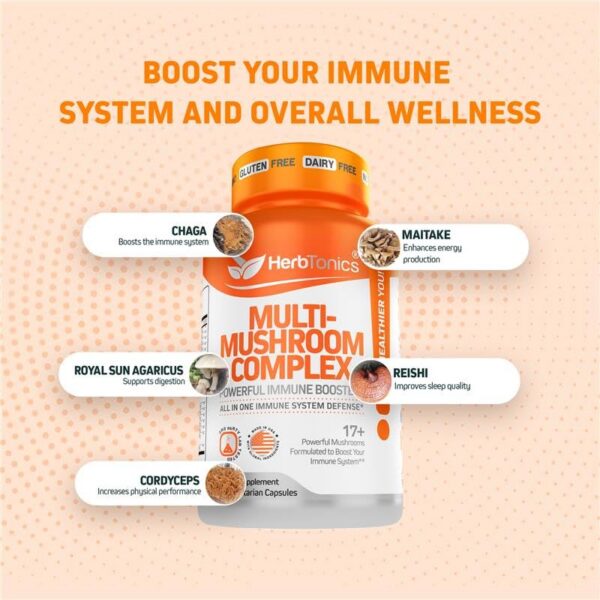 Version 1.0.0 Cápsulas veganas de complejo potente de hongos Herbtonics