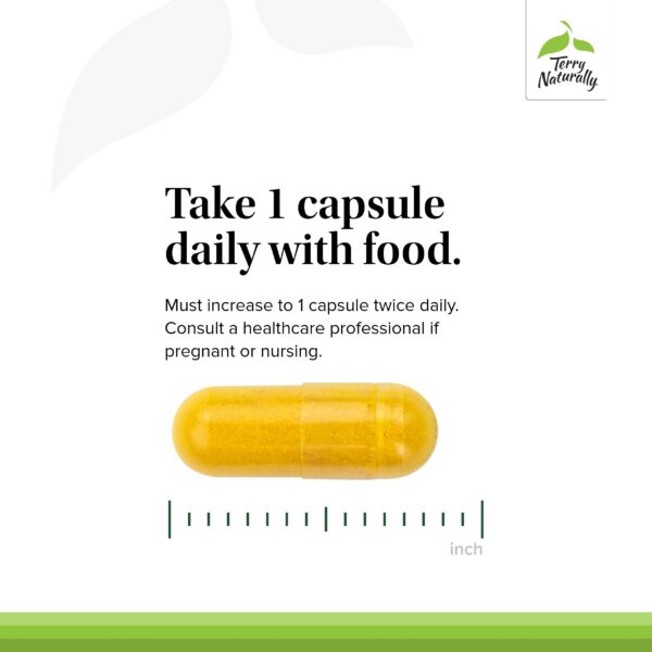 Cápsulas veganas DIM Complex con curcumina BCM-95 Terry Naturally