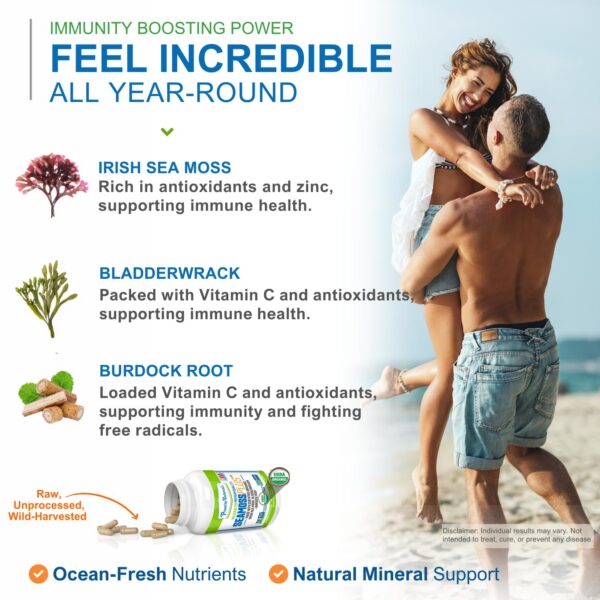 Cápsulas veganas musgo marino con bladderwrack y raíz de bardana