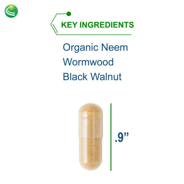 Cápsulas veganas Nutra BioGenesis ParaBiotic Plus