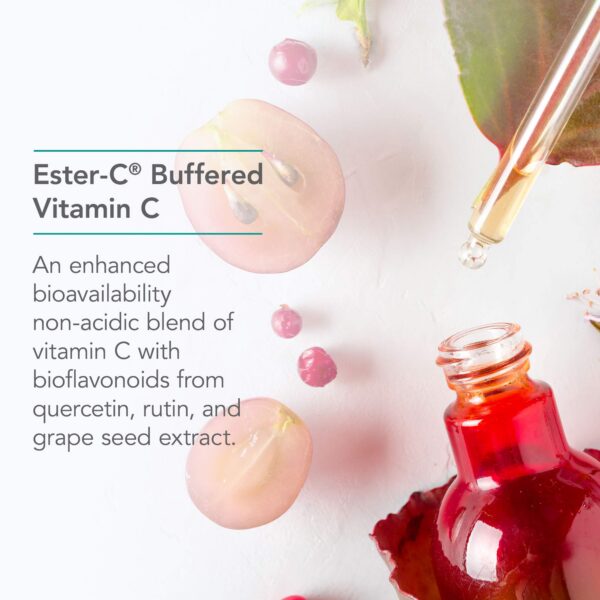 Cápsulas veganas Nutricology Esterol soporte antioxidante