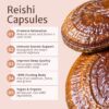 Version 1.0.0 Cápsulas veganas de Reishi orgánico