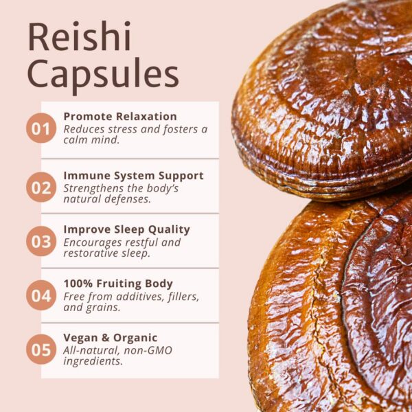 Version 1.0.0 Cápsulas veganas de Reishi orgánico