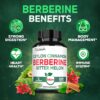 Cápsulas veganas suplemento Berberina 1500 mg Satoomi apoyo salud general