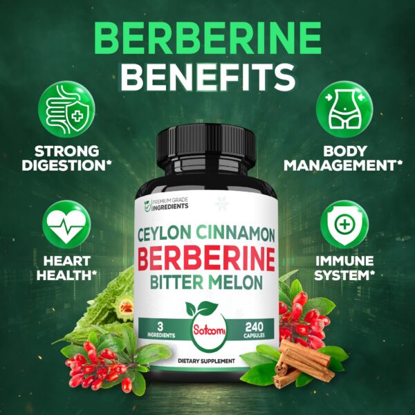Cápsulas veganas suplemento Berberina 1500 mg Satoomi apoyo salud general