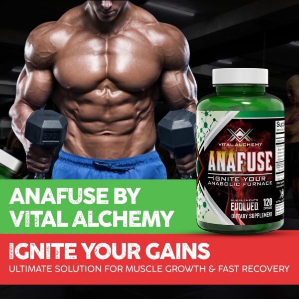 Version 1.0.0 Cápsulas veganas Turkesterona Vital Alchemy Anafuse