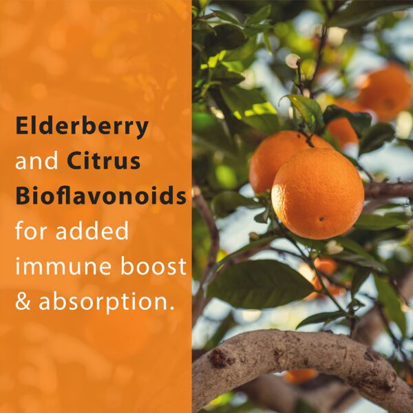 Cápsulas veganas con vitamina C y sauco orgánico sin rellenos