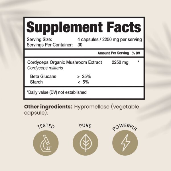 Frasco de cápsulas HPD Rx Cordyceps para energía y resistencia