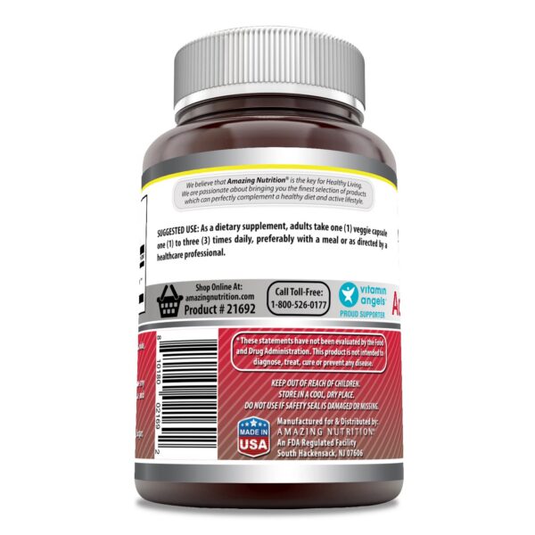 Cápsulas vegetales de acetil L-Carnitina 500 mg