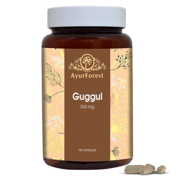 Cápsulas vegetales AYURFOREST Guggul con extracto de Arjuna paquete