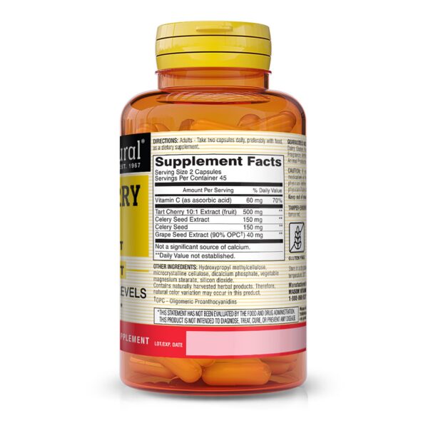 Version 1.0.0 Cápsulas vegetales 10:1 de extracto de cereza ácida Mason