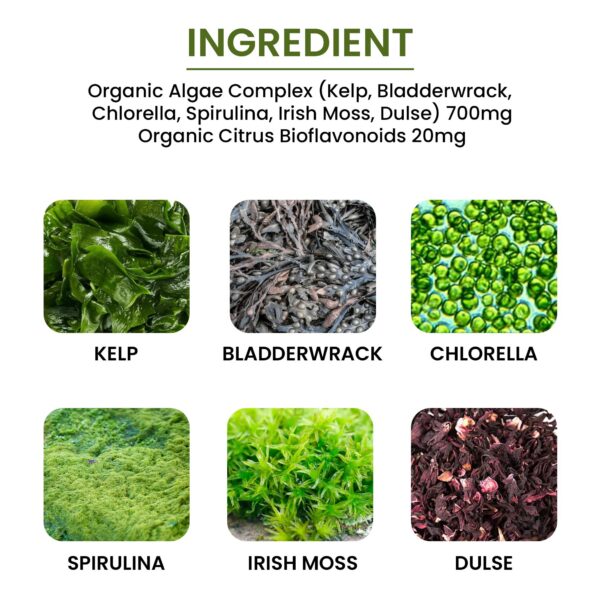 Cápsulas vegetales Green Organic con ingredientes naturales