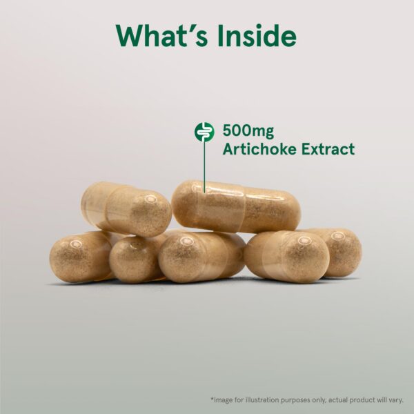 Version 1.0.0 Cápsulas vegetales Jarrow Formulas Alcachofa extracto estandarizado