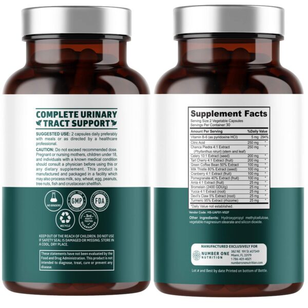 Version 1.0.0 Cápsulas vegetales limpieza natural ácido úrico y riñones N1N