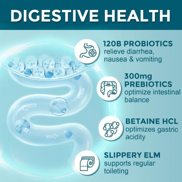 Cápsulas vegetales probióticas con soporte inmune y digestivo