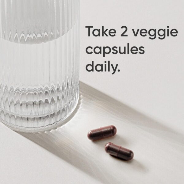 Version 1.0.0 Cápsulas vegetales suplementarias de saúco Sports Research