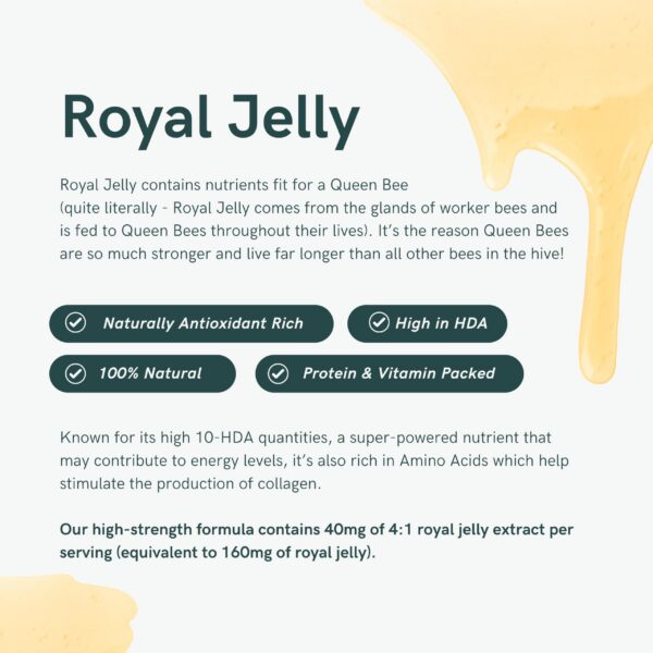 Cápsulas vegetales soporte hormonal Dr Sosnowski’s