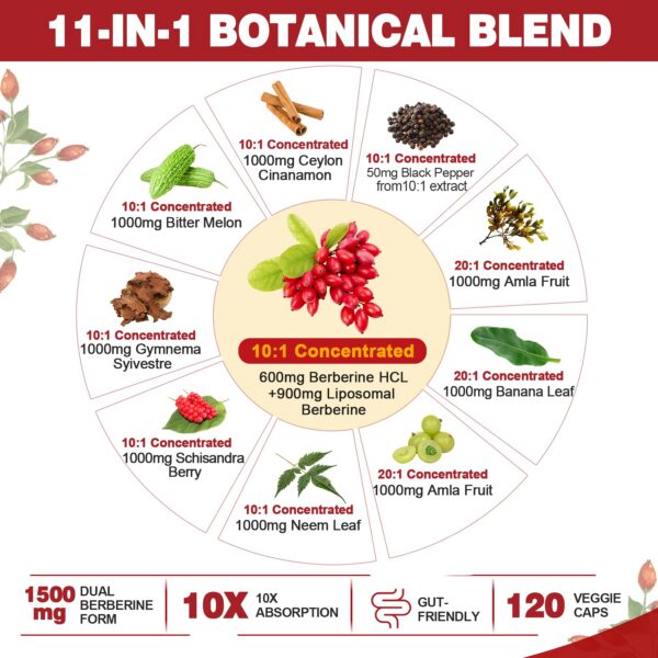 Suplemento natural de berberina con mezcla de 11 hierbas beneficiosas