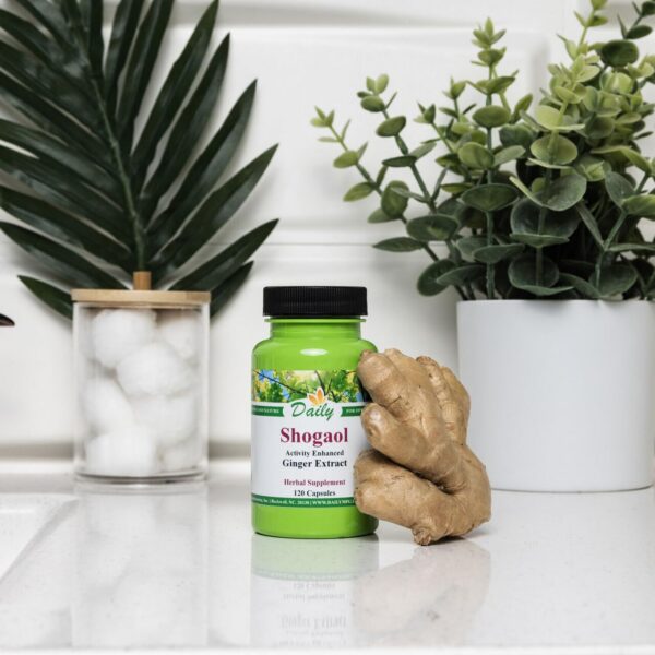 Cápsulas vegetarianas 6-Shogaol extracto jengibre pie de foto