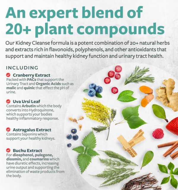 Cápsulas vegetarianas apoyan función renal sana