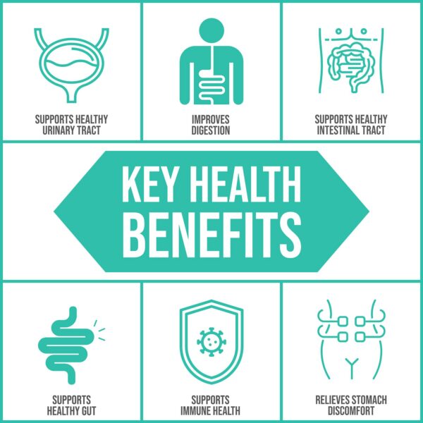 Cápsulas vegetarianas EcoPhage Body Ecology para intestino