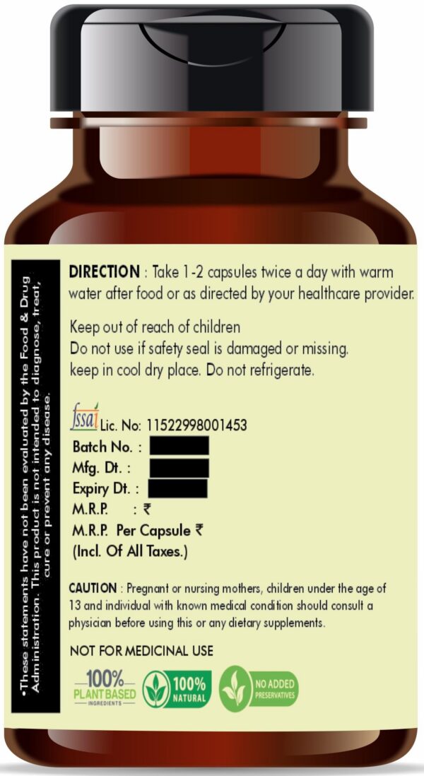 Version 1.0.0 Capsulas-vegetarianas-extracto-brahmi-ayurvedashree