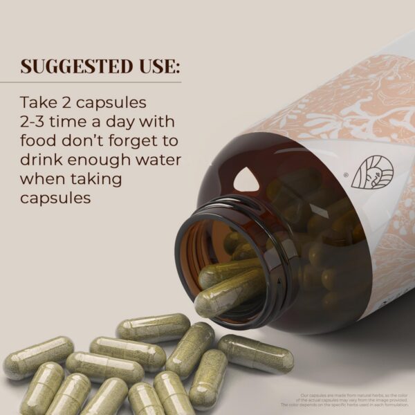 Suplemento herbal cápsulas astrágalo Garden Organics