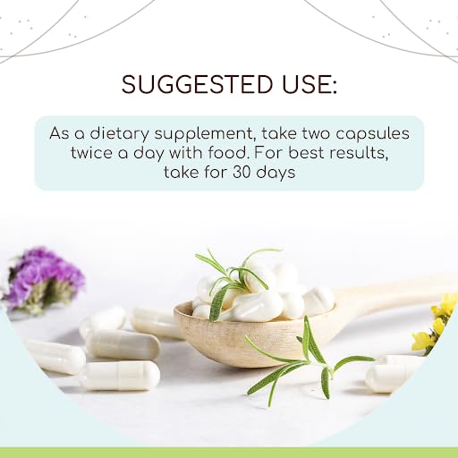 Version 1.0.0 Cápsulas vegetarianas galangal orgánico HerbEra