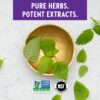 Cápsulas vegetarianas Lemon Balm Force New Chapter