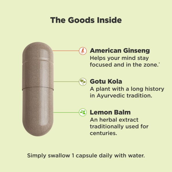 Version 1.0.0 Cápsulas vegetarianas OLLY Focus con extractos adaptogénicos