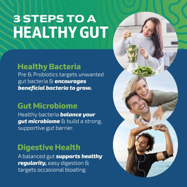 Version 1.0.0 Capsulas vegetarianas sin gluten sin OGM prebióticos y probióticos