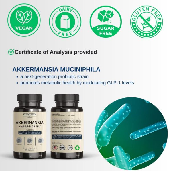 Cápsulas VINATURA para salud digestiva y apoyo GLP-1