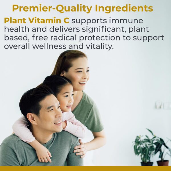 Version 1.0.0 cápsulas vitamina c bioflavonoides ingredientes orgánicos