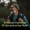 Cápsulas Zyflamend Prostate New Chapter para salud prostática