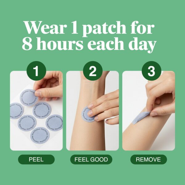 Version 1.0.0 Capy Patch diseño del parche