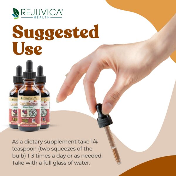 Version 1.0.0 CardioVance ingredientes orgánicos para apoyo cardíaco