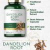 Cápsulas Dandelion Root listas para tomar