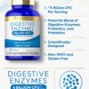 Version 1.0.0 Caja y envase Carlyle Digestive Enzymes