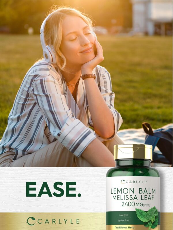 Version 1.0.0 Etiqueta de ingredientes Melisa