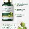Carlyle suplemento cápsulas Garcinia Cambogia frasco cerrado