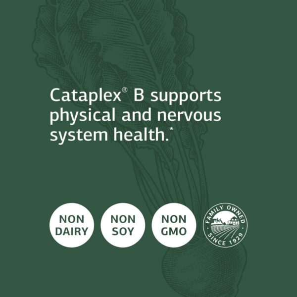 Cataplex B Standard Process vitaminas para metabolismo 360 tabletas