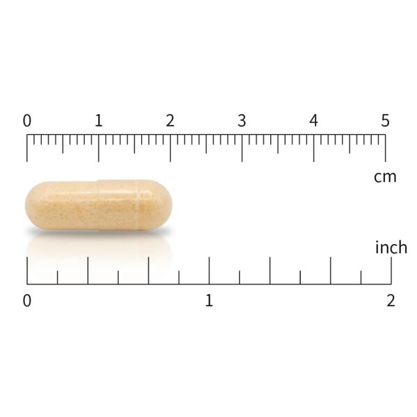 Cápsulas de policosanol y CoQ10