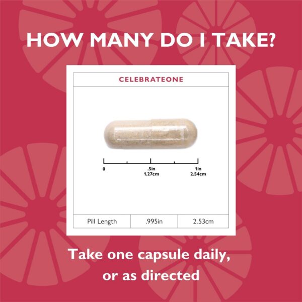 Version 1.0.0 Caja CelebrateONE bariátrico