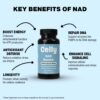 Version 1.0.0 Frasco de Celly NAD Booster con etiqueta lateral