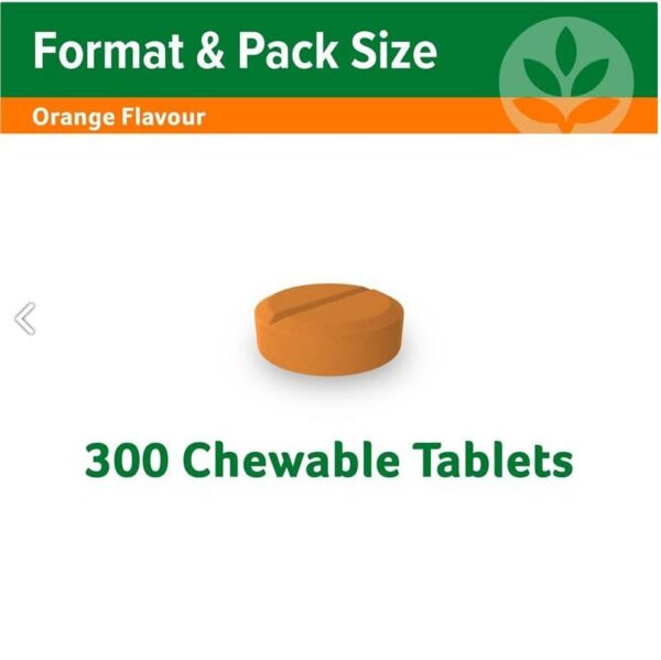 Back panel Cenovis tablet bottle