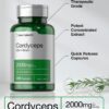 Cepa CS-4 cordyceps extracto natural 2000mg