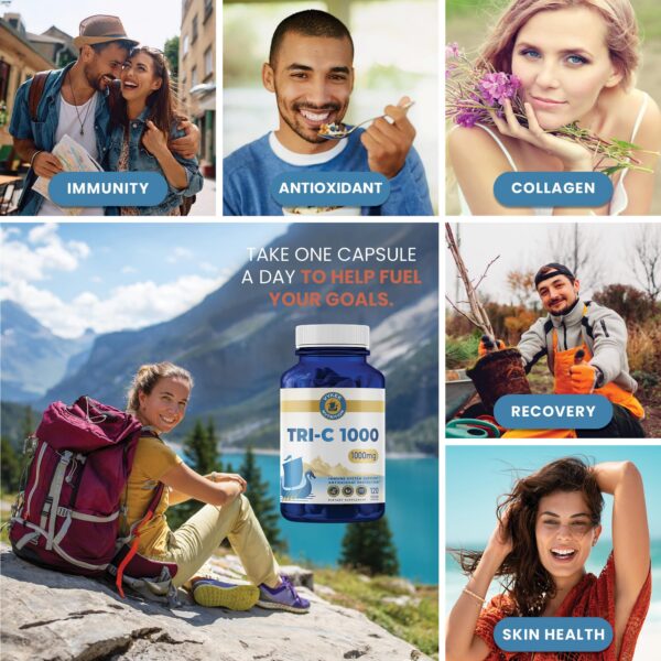 Notas de certificaciones en etiqueta