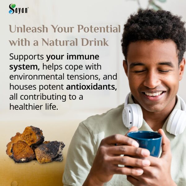 Chaga medicinal con corteza negra rico en nutrientes naturales