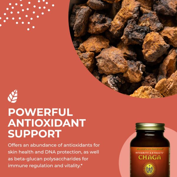 Chaga en polvo para apoyo inmunológico